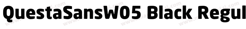 QuestaSansW05 Black Regular字体转换